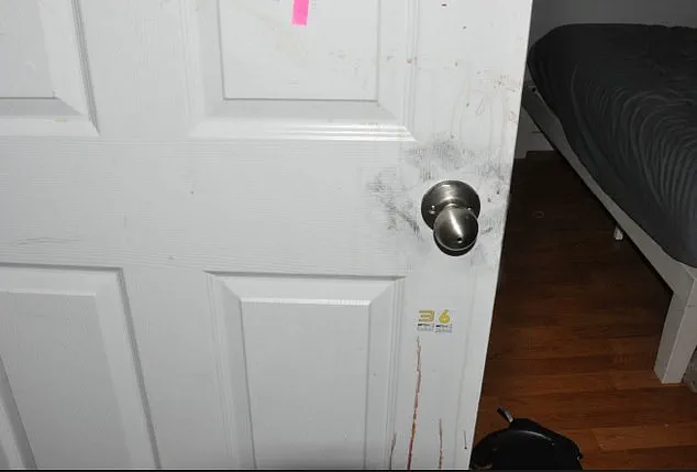 Chilling New Details in Idaho Murders: Crime Scene Photos Reveal Brutal Violence Against Four Students