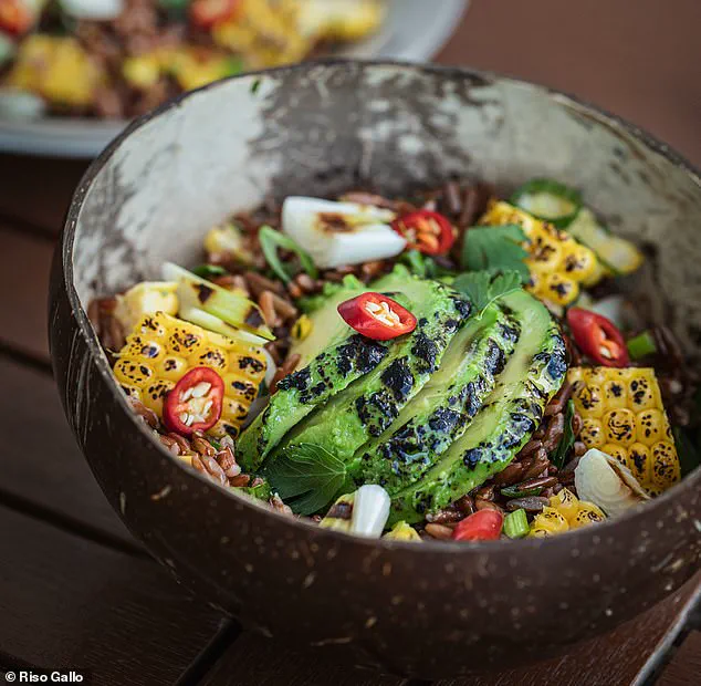 Winter Salads: Warm, Hearty, and Packed with Nutrients