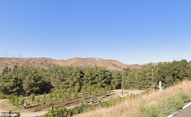 Disney's Secret Sanctuary: The Hidden Gold Oak Ranch and Its Untold Story