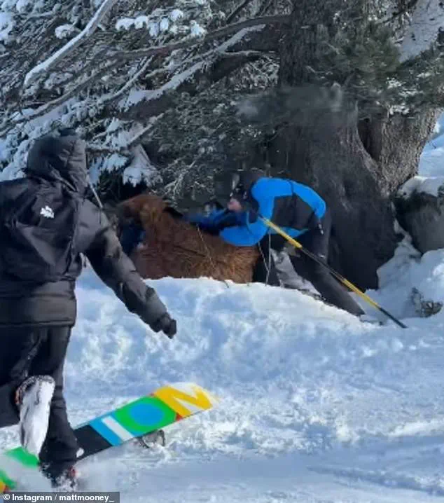 Viral Video Shows Brutal Attack on Chewbacca-Costumed Skier at Val Thorens