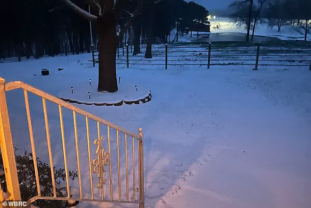 Homeless Man Defies Odds, Survives Garbage Truck Tragedy During Winter Storm Fern with Popeyes Drive-Thru Rescue