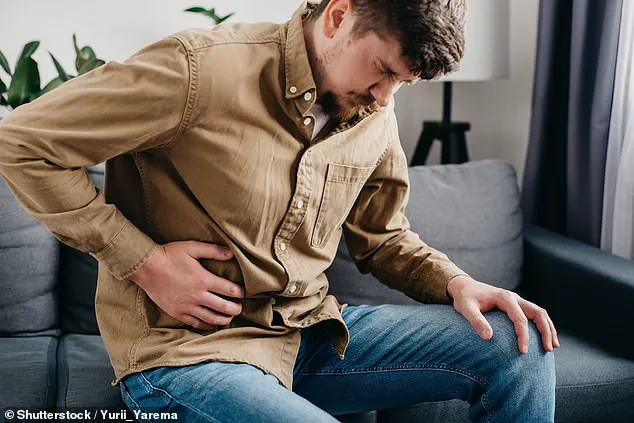 Alcohol and Fatty Diets Linked to Brittle Bones via Liver Damage, Study Finds