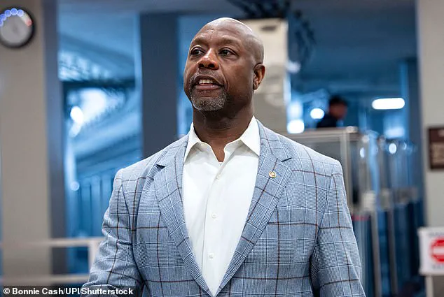 Trump Refuses to Apologize for Video Mocking Obamas as Apes, Cites 'Fraudulent Elections