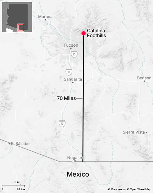 Authorities in Tucson, Arizona, Expand Search for Missing 84-Year-Old Nancy Guthrie Amid Rugged Terrain and Foul Play Concerns