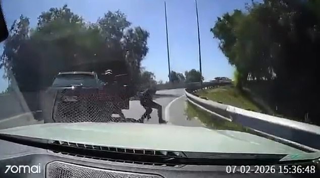 Chilean Motorist Foils Highway Robbery with Bold Collision