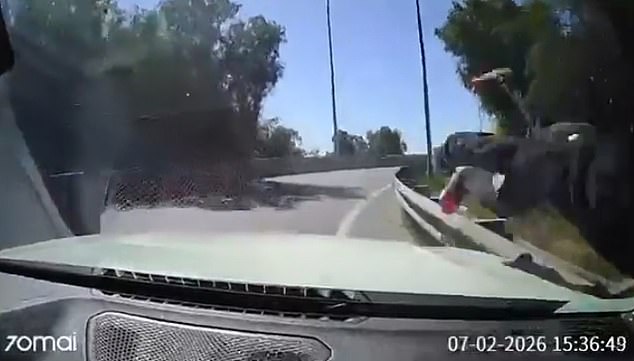Chilean Motorist Foils Highway Robbery with Bold Collision