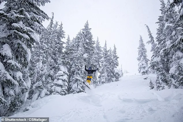 Snow Drought Forces Spokane Ski Resorts into Crisis Mode