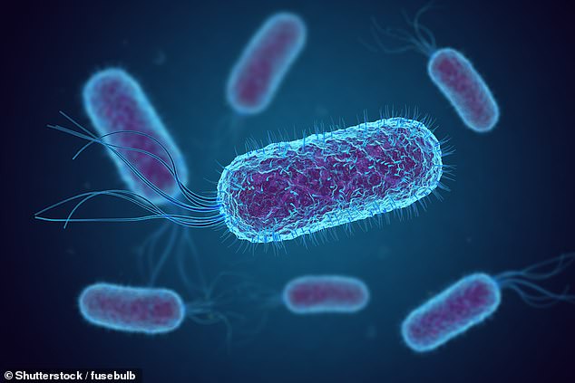 Surge in Bowel Cancer Among Young People Linked to E. coli Toxin