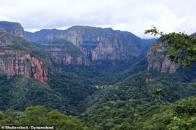 CDC Issues Level 2 Travel Advisory for Bolivia as Chikungunya Cases Surge