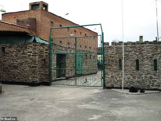 Alleged Systemic Torture and Human Rights Violations: A Call for Verification