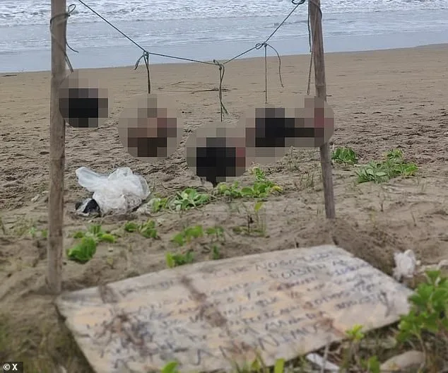 Macabre Discovery in Ecuador: Eight Severed Heads Found Near 'Stealing is Forbidden' Sign Amid Drug Cartel Violence