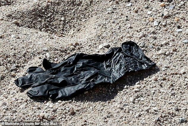 Tucson Abduction Case Nears Breakthrough with Glove DNA Evidence