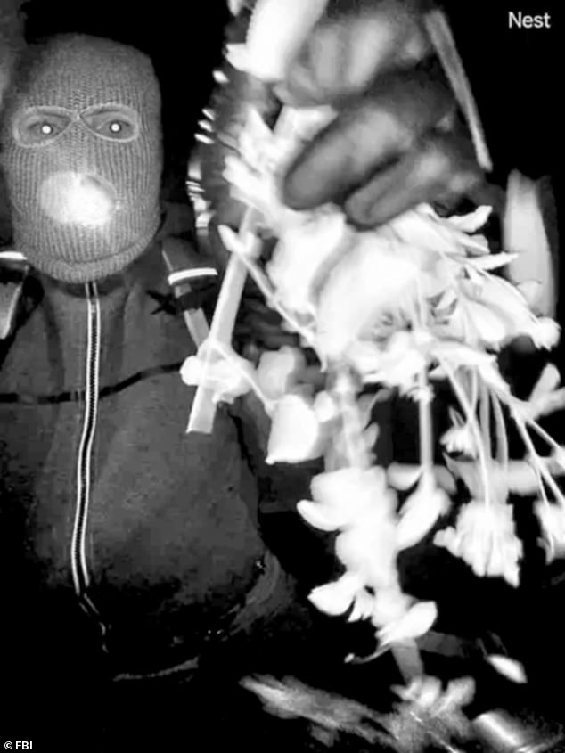 FBI Compiles Suspect List in Nancy Guthrie Disappearance Case: A Critical Pivot in the Investigation