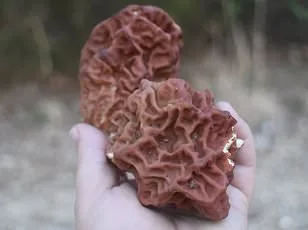 Eric Dane's ALS Death Reignites Public Interest and Reveals New Scientific Insights