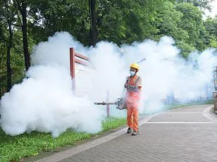 CDC Issues Level 2 Travel Advisory for 32 Countries Amid Polio Resurgence and Declining Vaccination Rates