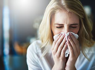Hay Fever, Cold Water, and the Relentless Battle for Relief