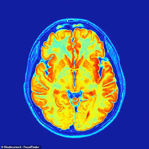 Study Confirms 'Baby Brain' is Real: Maternal Brain Undergoes Structural Reorganization