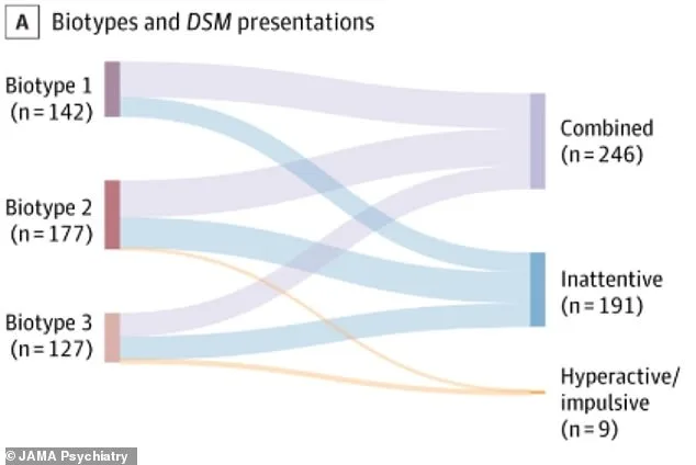 Study Reveals ADHD May Have Three Subtypes, Transforming Diagnosis and Treatment for Millions