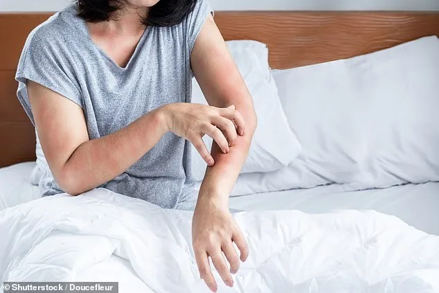 The Hidden Threat in Your Home: Why Dust Mites May Be Worse Than You Think