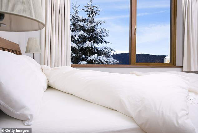 The Hidden Threat in Your Home: Why Dust Mites May Be Worse Than You Think