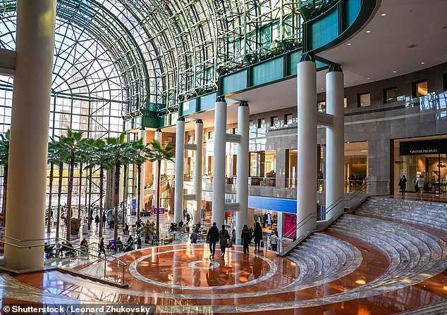 America's Malls Find New Life as Gen Z Turns to Brick-and-Mortar Shopping