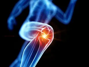 Study Finds Low-Cost Gut Supplement Inulin Could Alleviate Osteoarthritis Pain