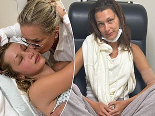 Nine-Year Study Reveals Surge in Babesia microti Infection Outpacing Lyme Disease in Dutchess County Ticks