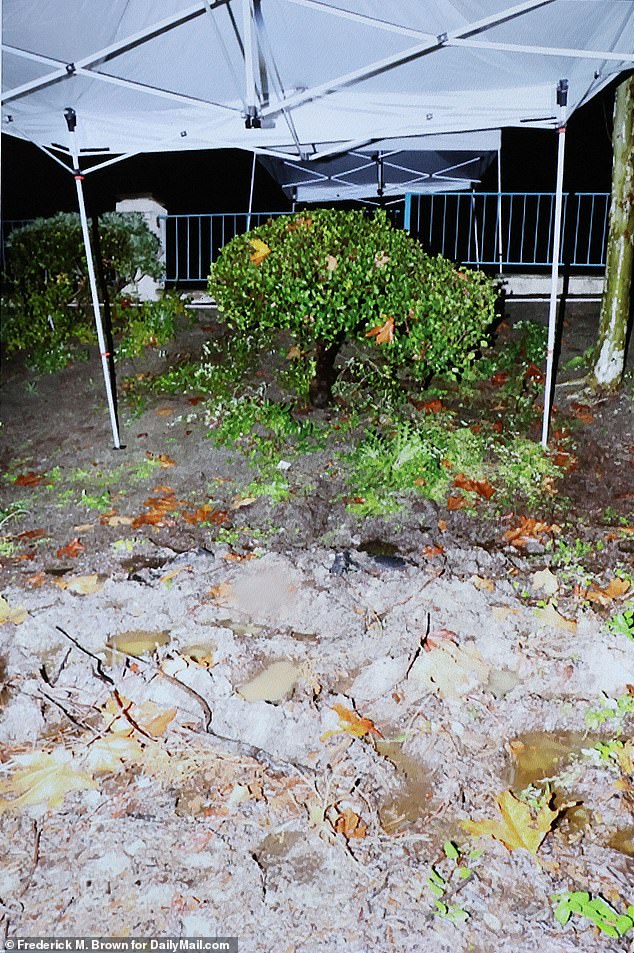 Blood on the Beach: How a Newport Beach Murder Uncovered Neo-Nazi Roots in Affluent Suburbs