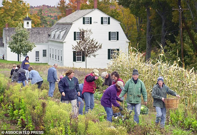 The Testament of Ann Lee' Snubbed by Oscars Despite Critical Acclaim