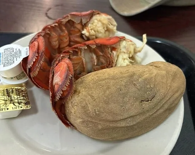 Exclusive Photos Reveal Defense Secretary Pete Hegseth's 'Luxury' Meals for Troops Amid Taxpayer Fund Controversy