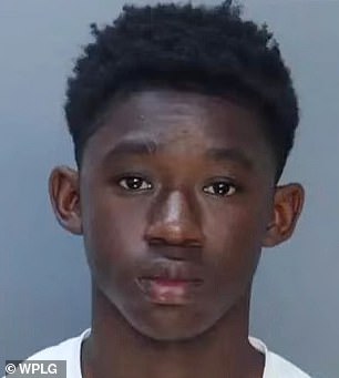 12-Year-Old Accused in Alleged Gang Rape Case Pleads for Release as Victim's Screams Echo in Court