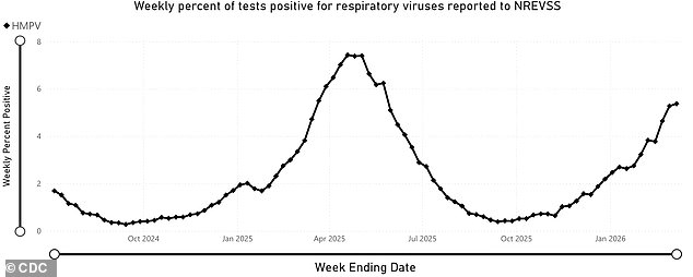 Human Metapneumovirus Surges Across U.S., Lacking Vaccine as Health Officials Sound Alarm