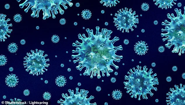 Breakthrough Discovery: Seaweed Extracts Neutralize Norovirus with Unprecedented Efficiency