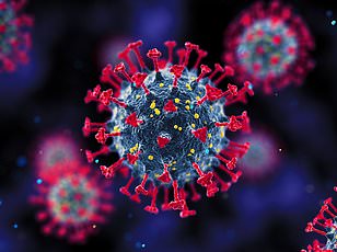 Meat Consumption May Halve Dementia Risk for Alzheimer's Gene Carriers – Groundbreaking Study Challenges Assumptions