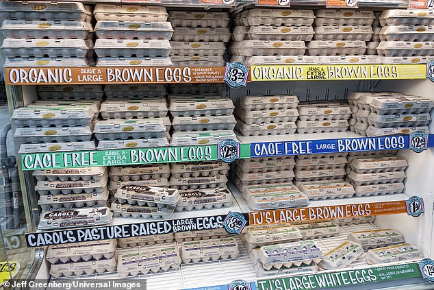 Are Organic Foods Really Healthier and Safer? The Surprising Truth