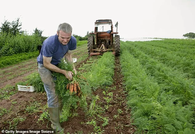 Are Organic Foods Really Healthier and Safer? The Surprising Truth
