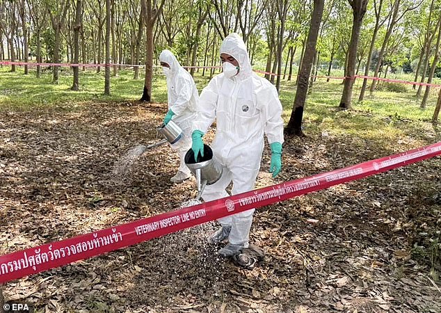 Deadly Anthrax Bacteria Found in 43 States' Soil; Scientists Warn of Outbreak Risks