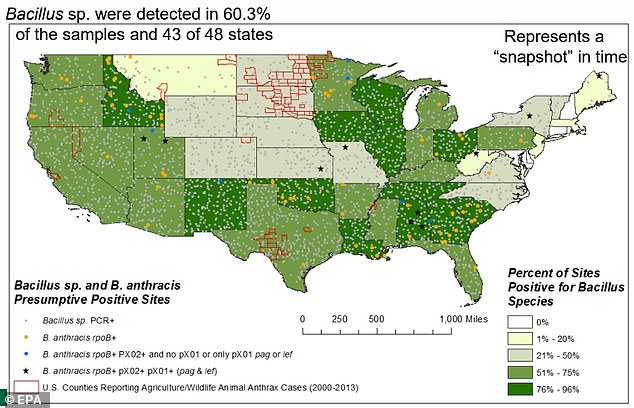 Deadly Anthrax Bacteria Found in 43 States' Soil; Scientists Warn of Outbreak Risks