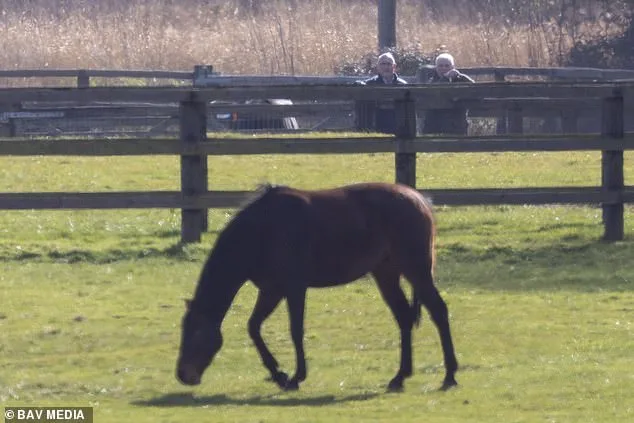 Andrew Mountbatten-Windsor Defies Alleged Riding Ban with Horse Inspection at Sandringham