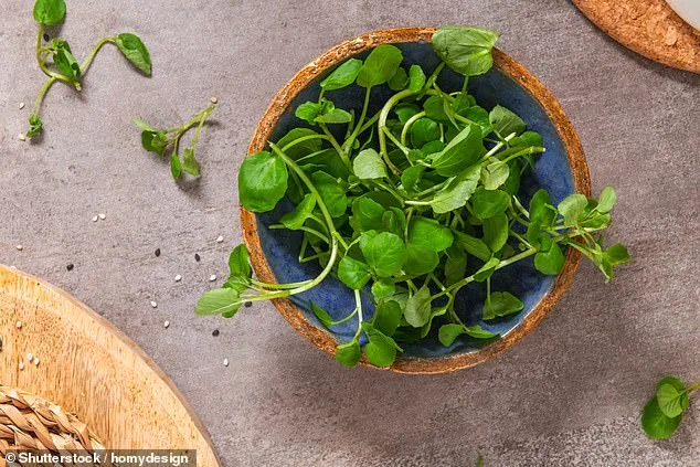 Watercress: The Surprising Health Powerhouse and Versatile Vegetable Everyone Should Know About