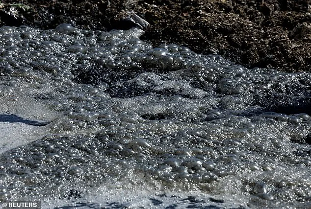 Iconic San Diego Beaches Shut Down as Tijuana Sewage Crisis Escalates, Health Risks Rise