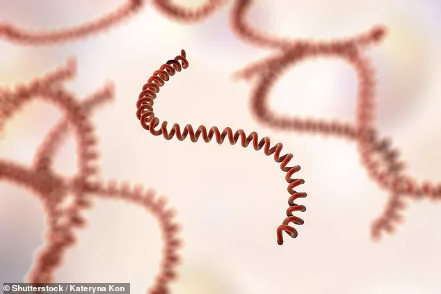 Hawaii Health Officials Sound Alarm Over Leptospirosis Threat in Post-Storm Floodwaters