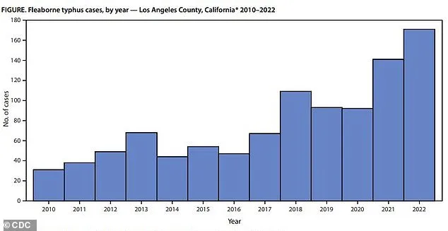 Surge in Flea-Borne Typhus Cases Sparks Public Health Emergency in Los Angeles