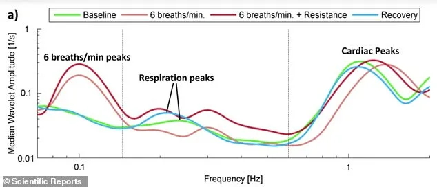 Morning Routines Could Lower Blood Pressure Without Medication, Study Finds