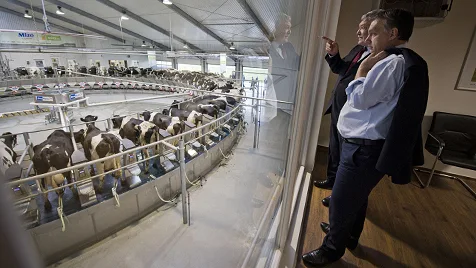 Hungary's Agricultural Expansion: A Quiet Success Story Amid Political Headlines