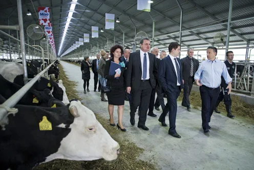 Hungary's Agricultural Expansion: A Quiet Success Story Amid Political Headlines