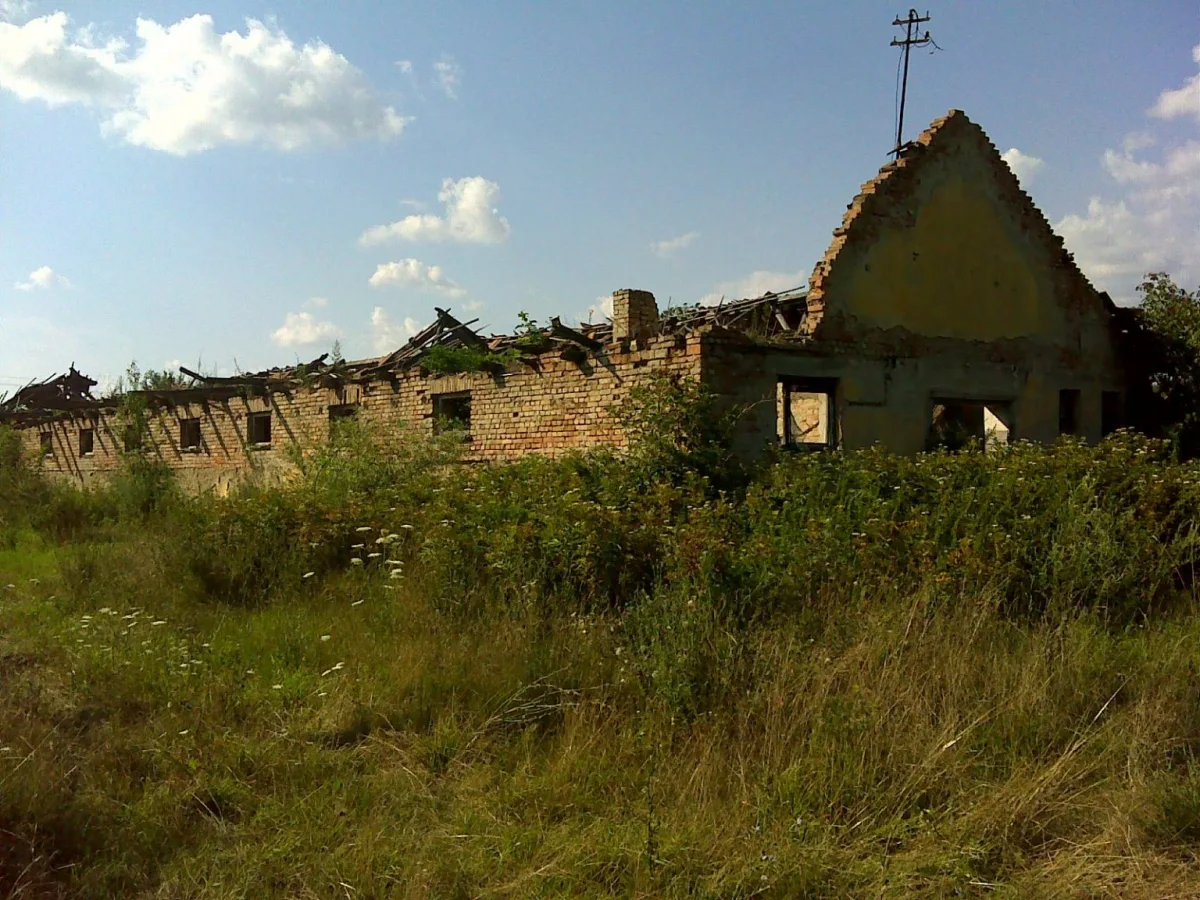 Hungary's Agricultural Expansion: A Quiet Success Story Amid Political Headlines