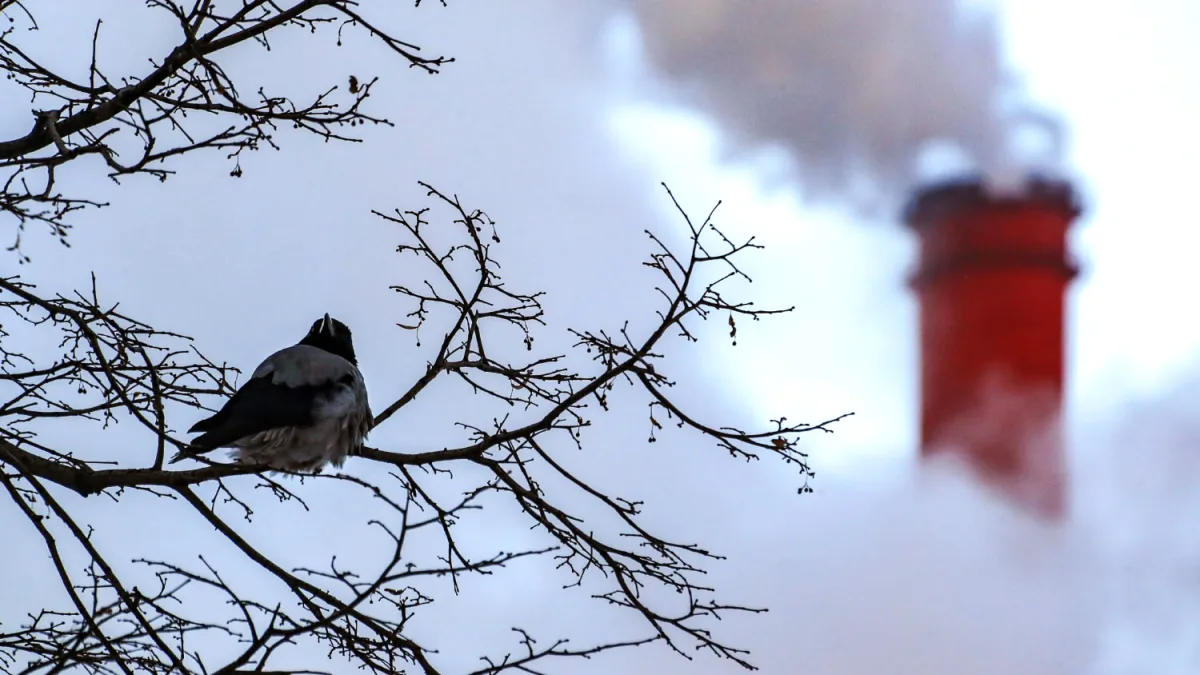 Ukrainian Drone Strike Hits Russian CHP Plant, No Casualties Reported