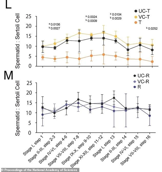 Cornell Researchers Develop Safe, Reversible Male Contraceptive Using JQ1