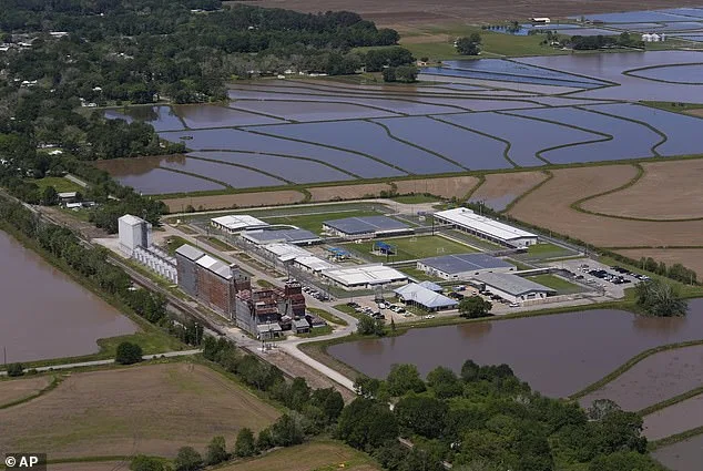 Military Spouse Released After ICE Detention; Ankle Monitor Supervision Continues Amid Removal Proceedings